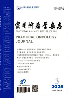 实用肿瘤学杂志杂志